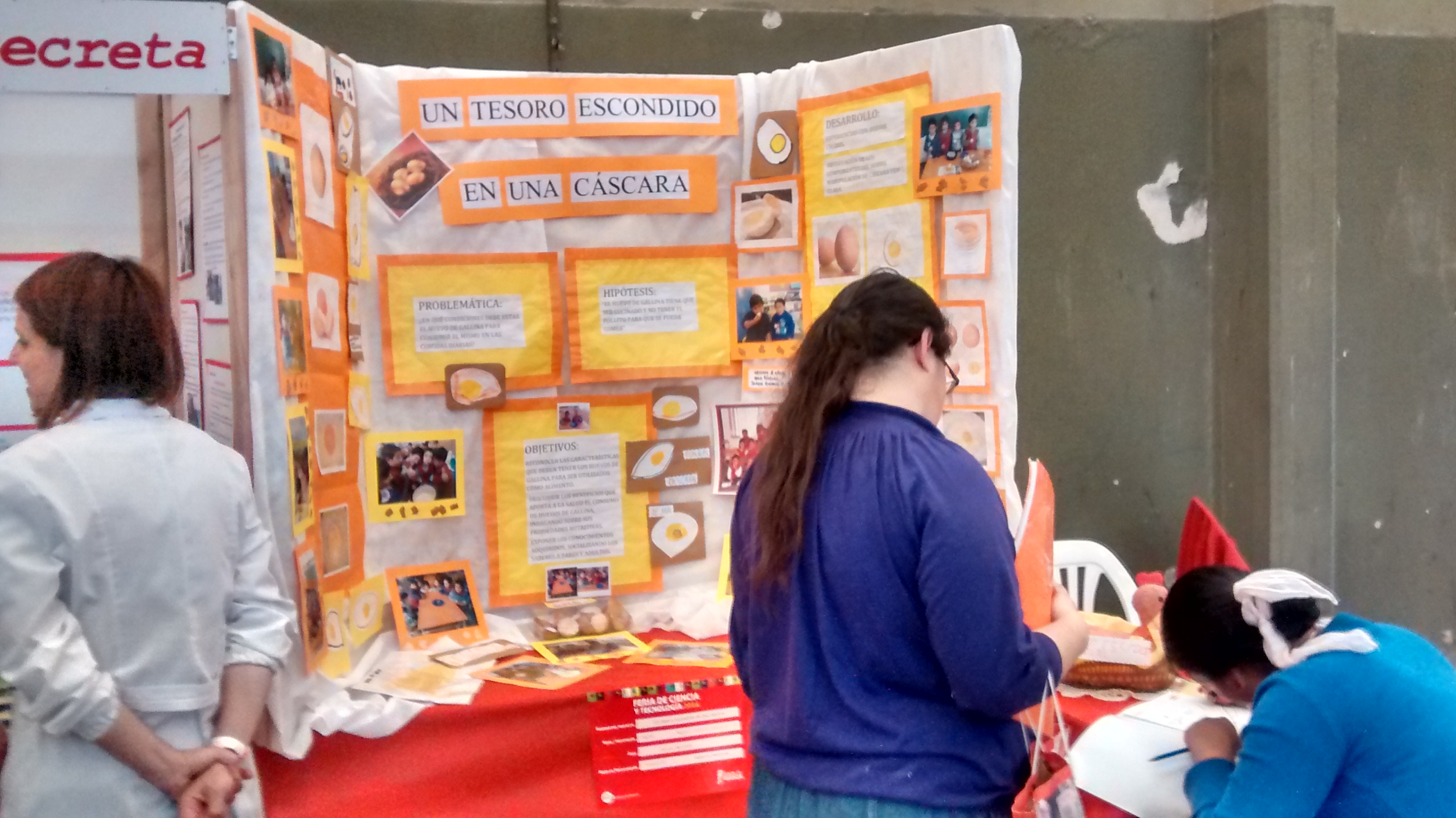 Proyectos De Feria De Ciencias Del Primer Lugar Para Sexto Grado
